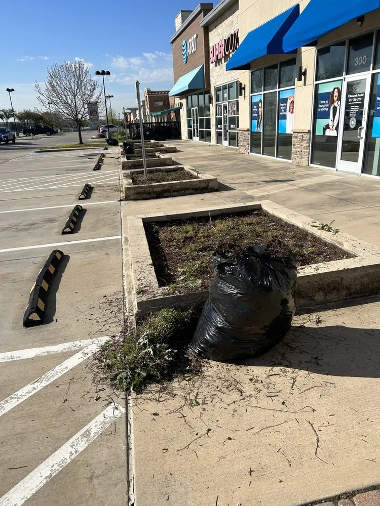 Custom residential landscaping for year-round maintenance in Princeton, TX by Provista Texas Landscaping