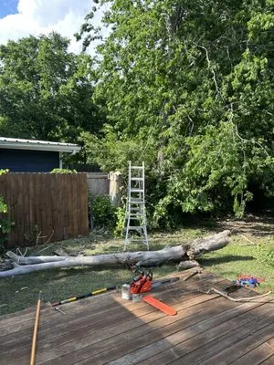 Provista Texas Landscaping