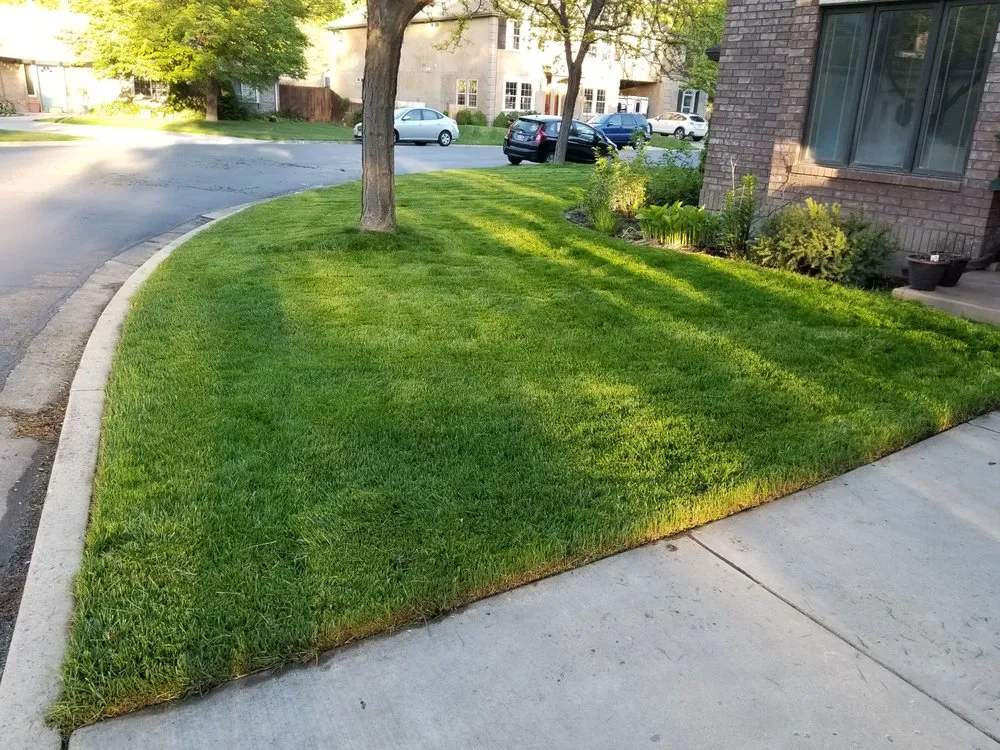 Custom landscape installation experts serving Provo, UT - Provo Lawn Care