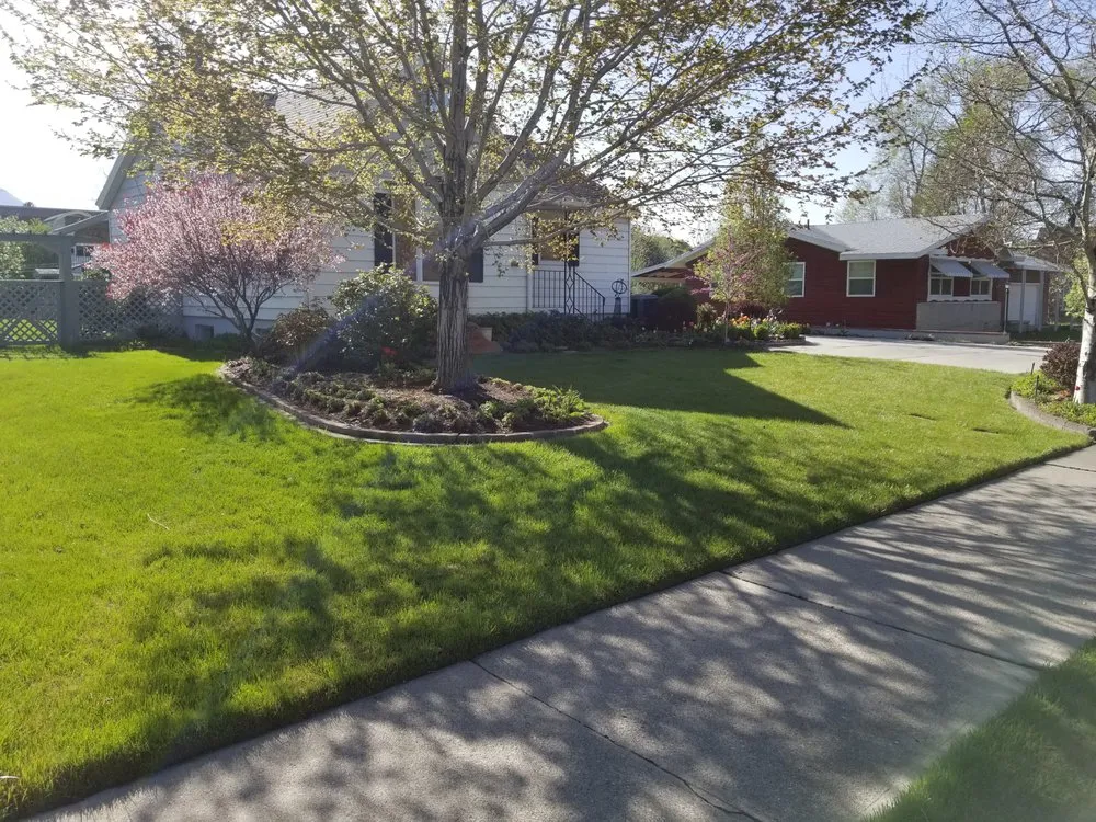 Reliable yard maintenance in Provo, UT - Provo Lawn Care