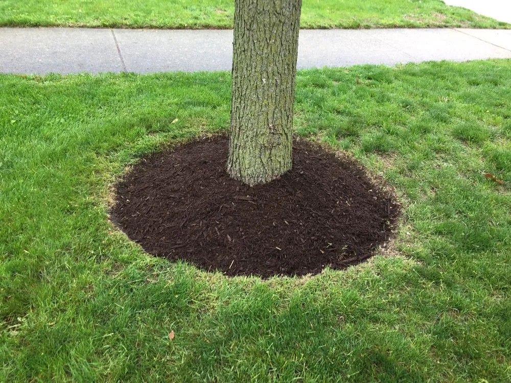 Professional residential landscaping experts serving Chicago, IL - Proworks Landscaping Solutions