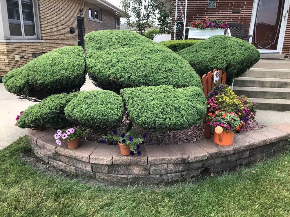 Local yard cleanup service experts serving Chicago, IL - Proworks Landscaping Solutions