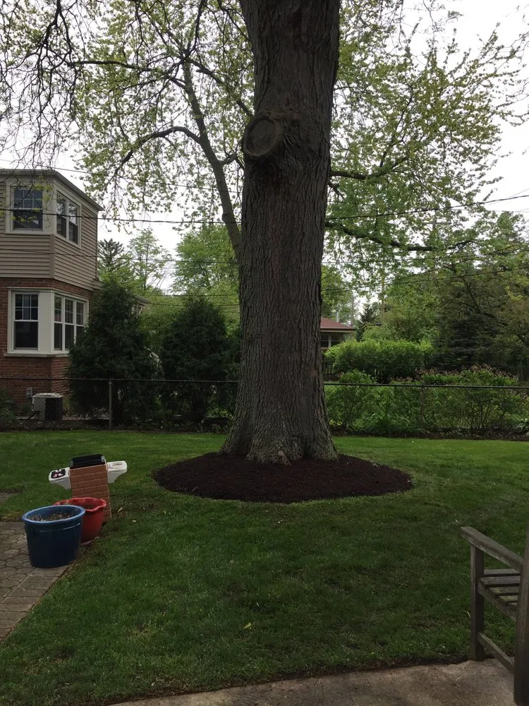 Top-rated landscape installation experts serving Chicago, IL - Proworks Landscaping Solutions