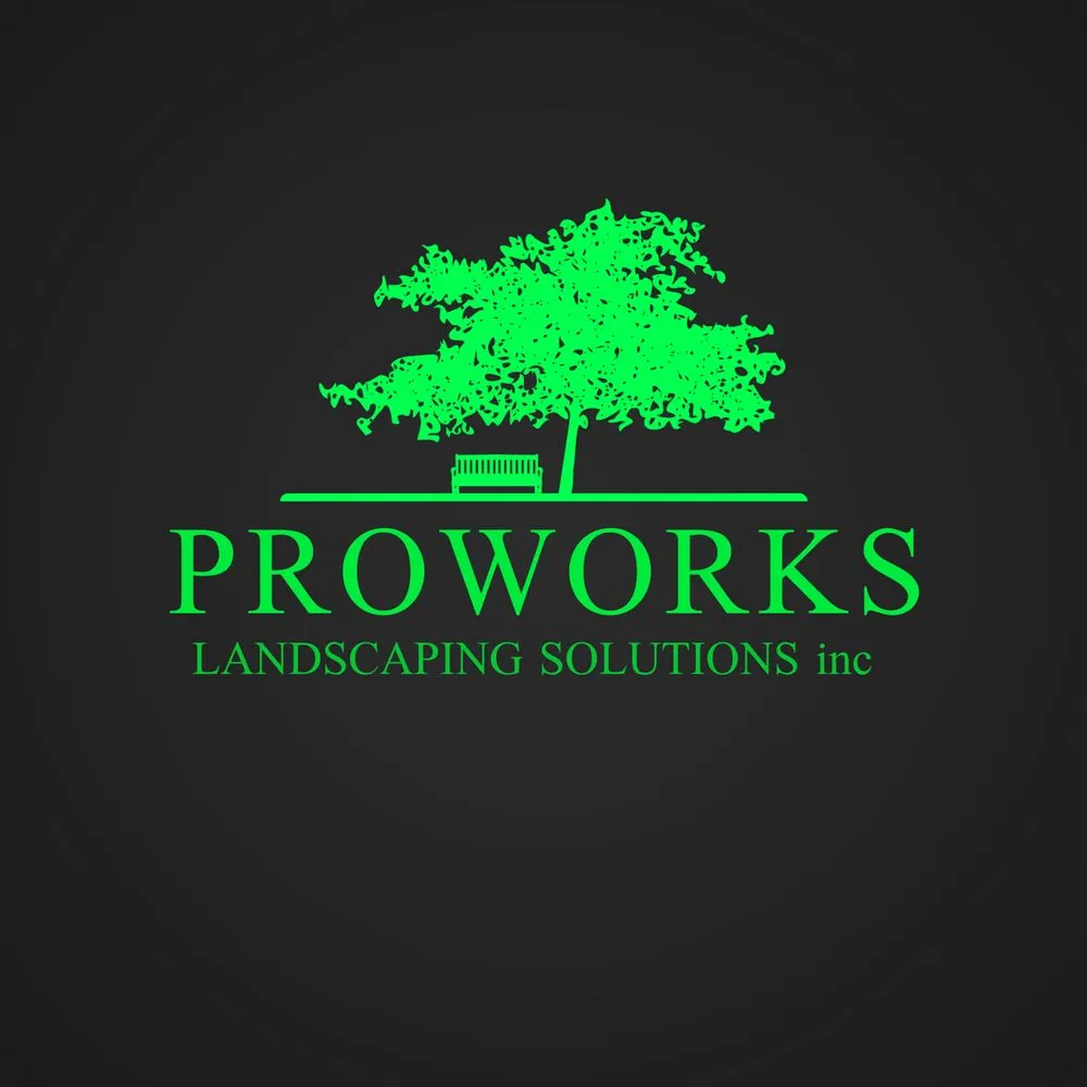Custom yard cleanup service in Chicago, IL by Proworks Landscaping Solutions