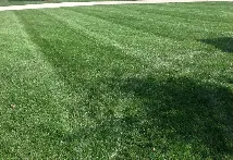Trusted landscape installation experts serving Terre Haute, IN - Prox Lawn Care