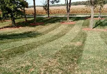Trusted residential landscaping for residential properties across Terre Haute, IN - Prox Lawn Care