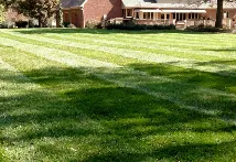 Affordable landscape design for year-round maintenance across Terre Haute, IN - Prox Lawn Care