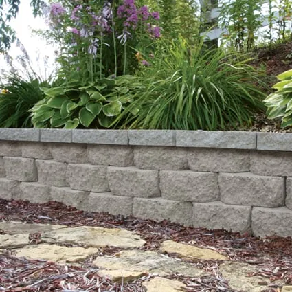 Professional garden landscaping for beautiful yards in Rio Rancho, NM by ProXeriscapes