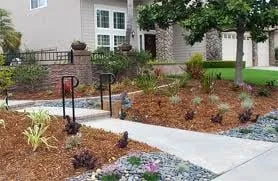 Top-rated garden landscaping experts serving Rio Rancho, NM - ProXeriscapes