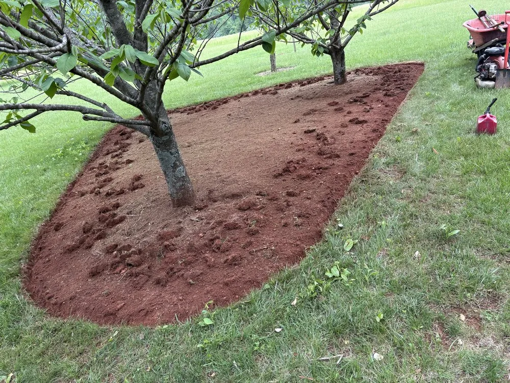 Affordable landscaping services experts serving Schuyler, VA - Proyard & Hauling