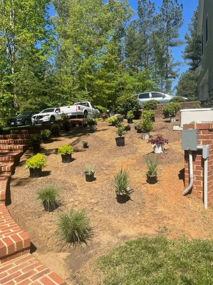 Professional yard cleanup service in Schuyler, VA by Proyard & Hauling