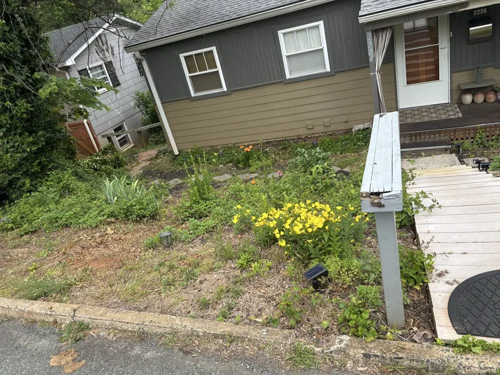 Expert landscape design for homes across Schuyler, VA - Proyard & Hauling