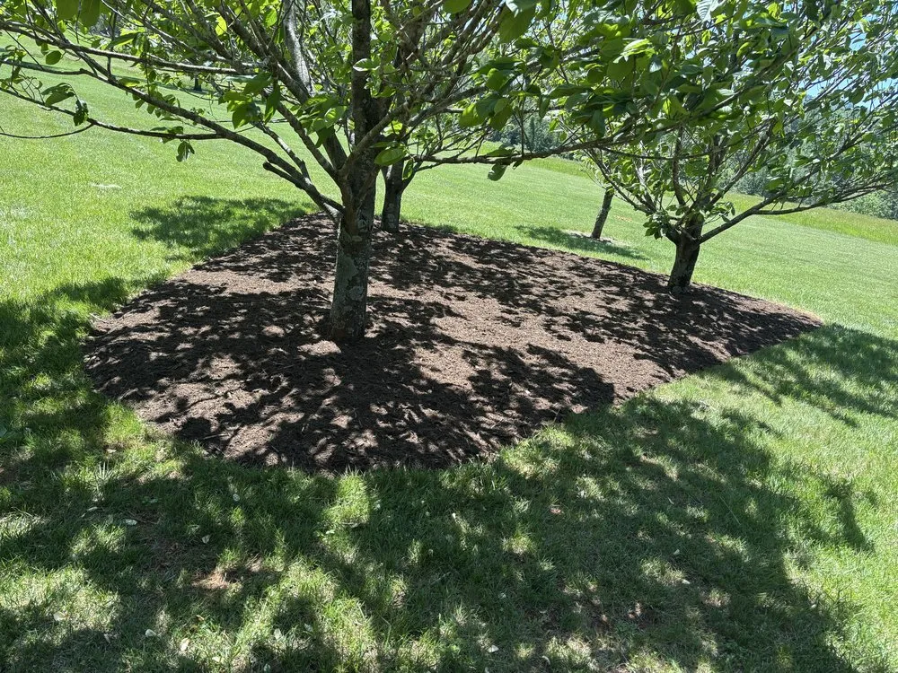 Professional landscape installation for outdoor upgrades in Schuyler, VA by Proyard & Hauling