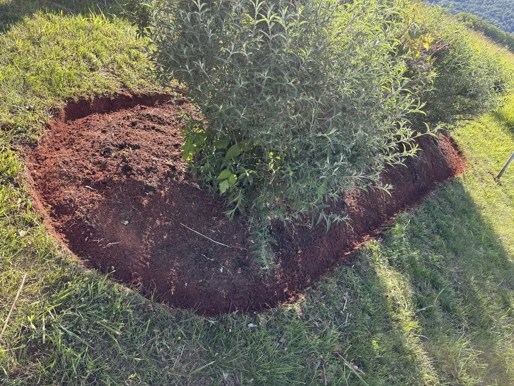Reliable landscape installation in Schuyler, VA - Proyard & Hauling