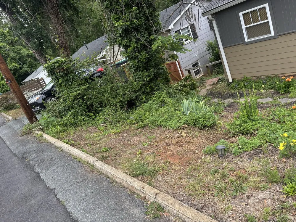 Expert outdoor landscaping in Schuyler, VA by Proyard & Hauling