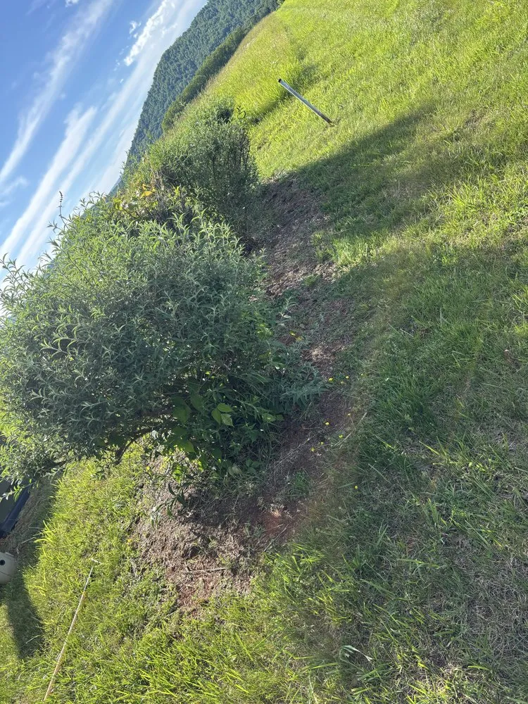 Top-rated lawn mowing service for homes in Schuyler, VA by Proyard & Hauling
