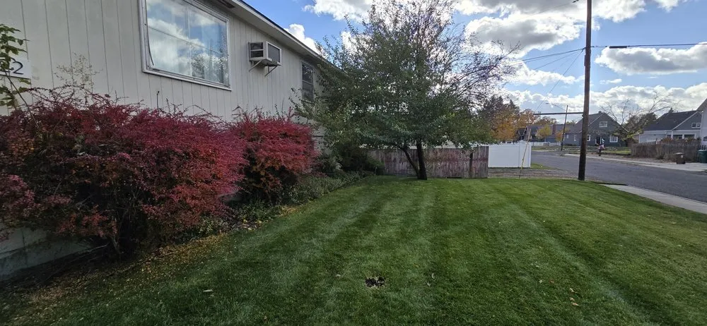 Reliable lawn mowing service experts serving Spokane, WA - ProYard Services