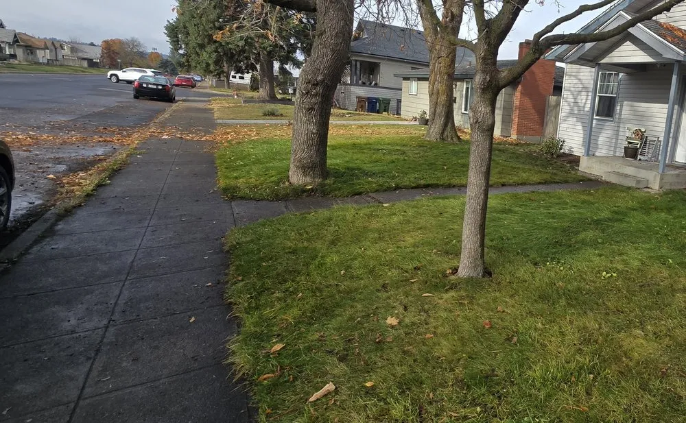 Professional lawn care service with custom design across Spokane, WA - ProYard Services