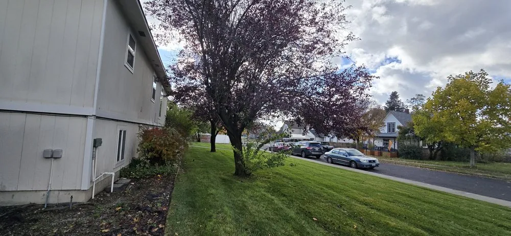 Top-rated yard cleanup service for outdoor upgrades in Spokane, WA by ProYard Services