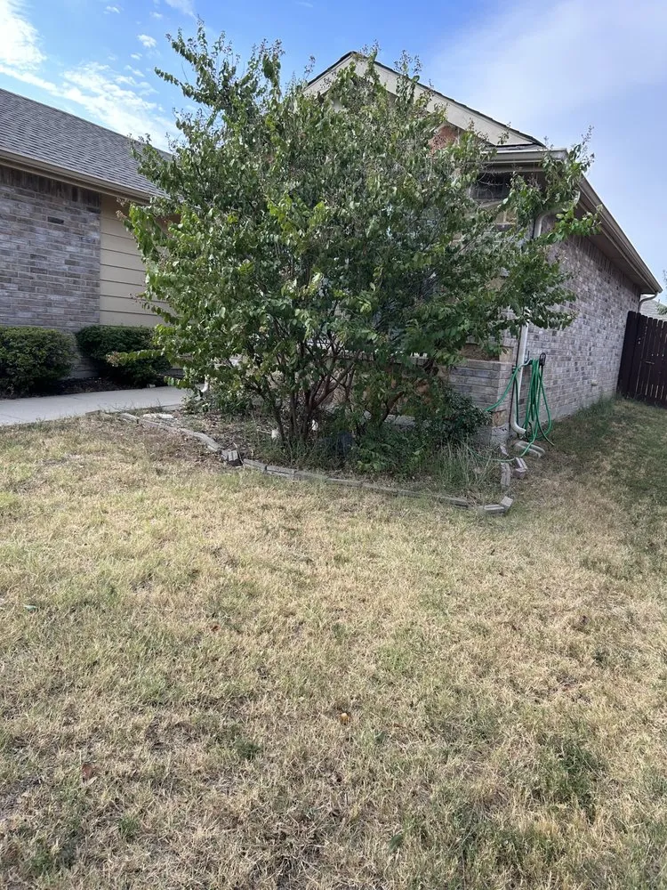 Top-rated lawn mowing service for homes across Aubrey, TX - Prs Landscapes