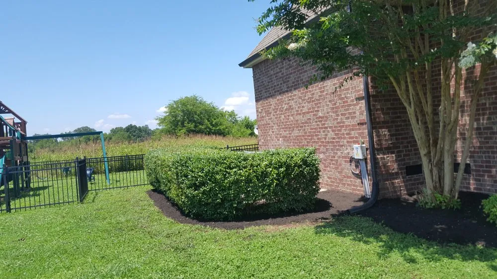 Affordable yard cleanup service for beautiful yards across Murfreesboro, TN - Prs Property Maintenance & Landscaping