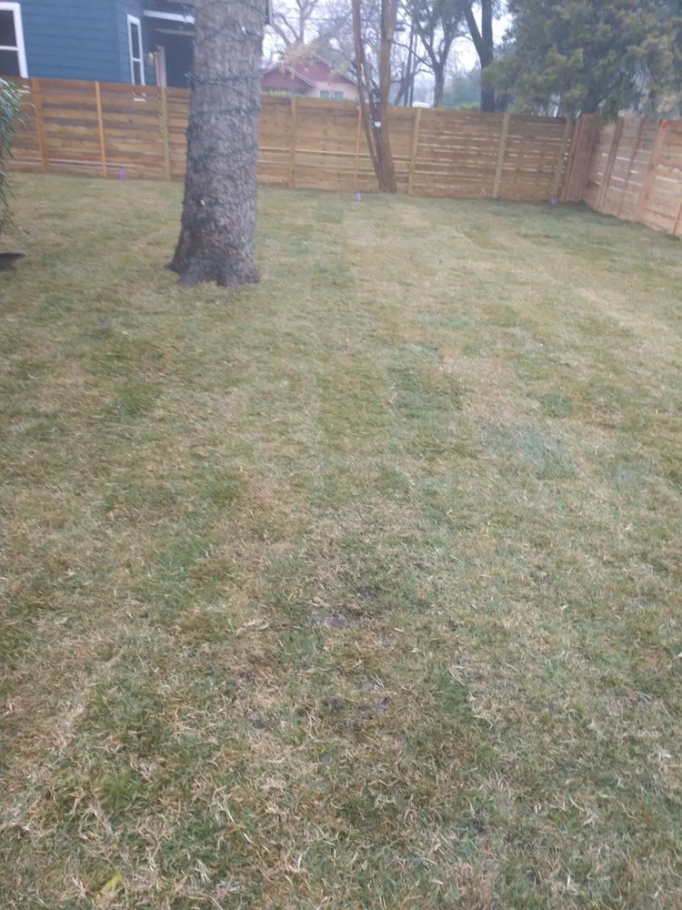 Expert yard maintenance in Austin, TX by PRT Landscaping & Contracting