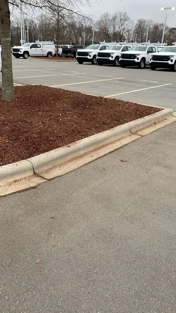 Local landscape installation for outdoor upgrades in Pineville, NC by Prudencio Landscaping