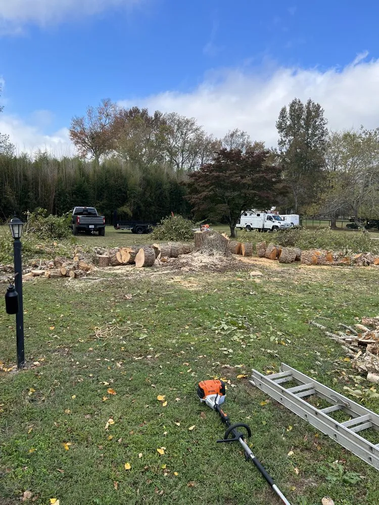 Expert yard maintenance in Gloucester, VA - Pruden’s Landscaping