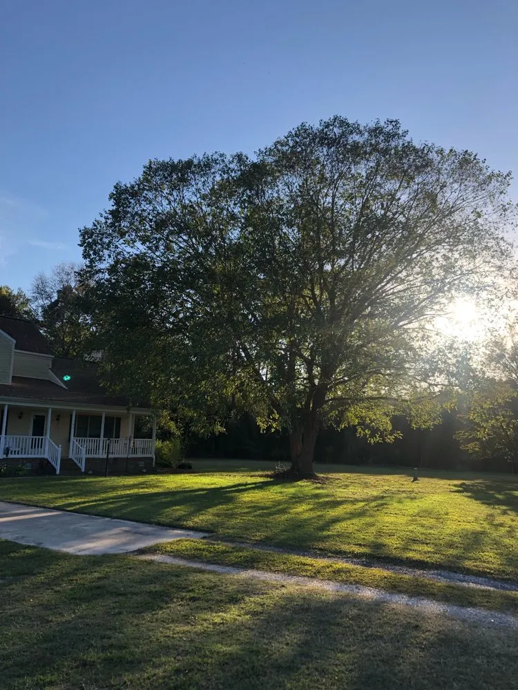 Top-rated landscaping services in Gloucester, VA by Pruden’s Landscaping