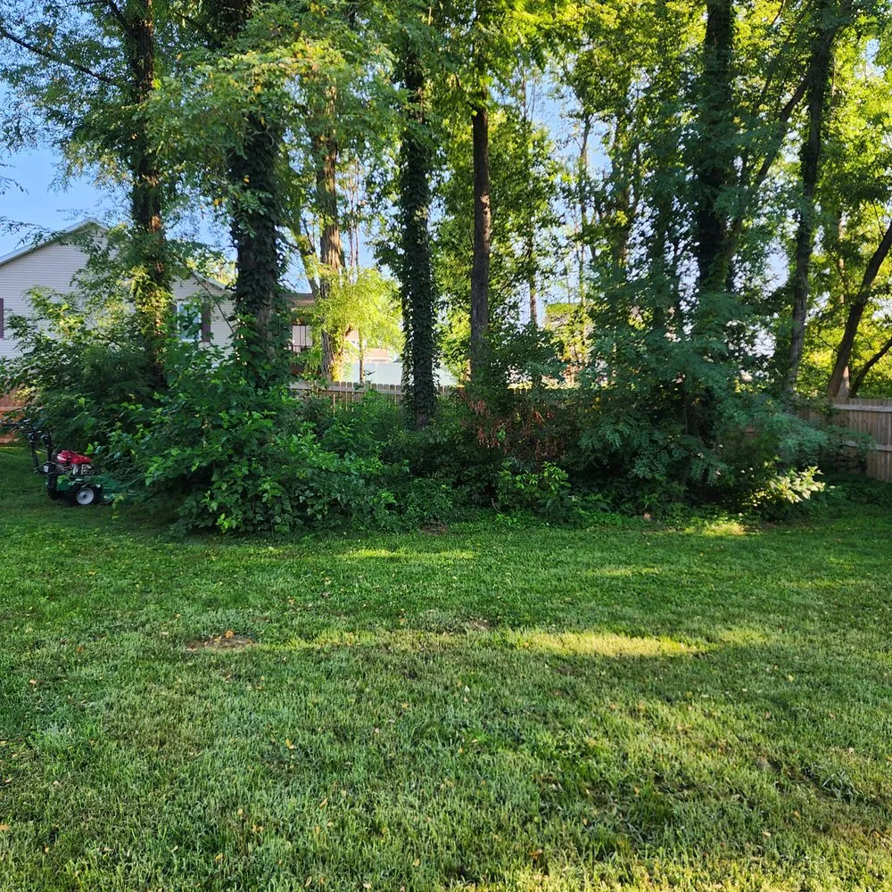 Custom landscape design experts serving Bloomington, IN - Pruett's Lawn and Land