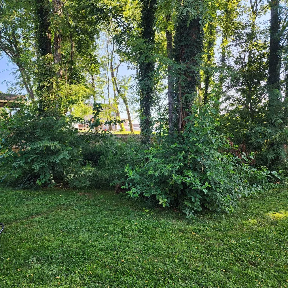 Professional lawn mowing service for year-round maintenance across Bloomington, IN - Pruett's Lawn and Land