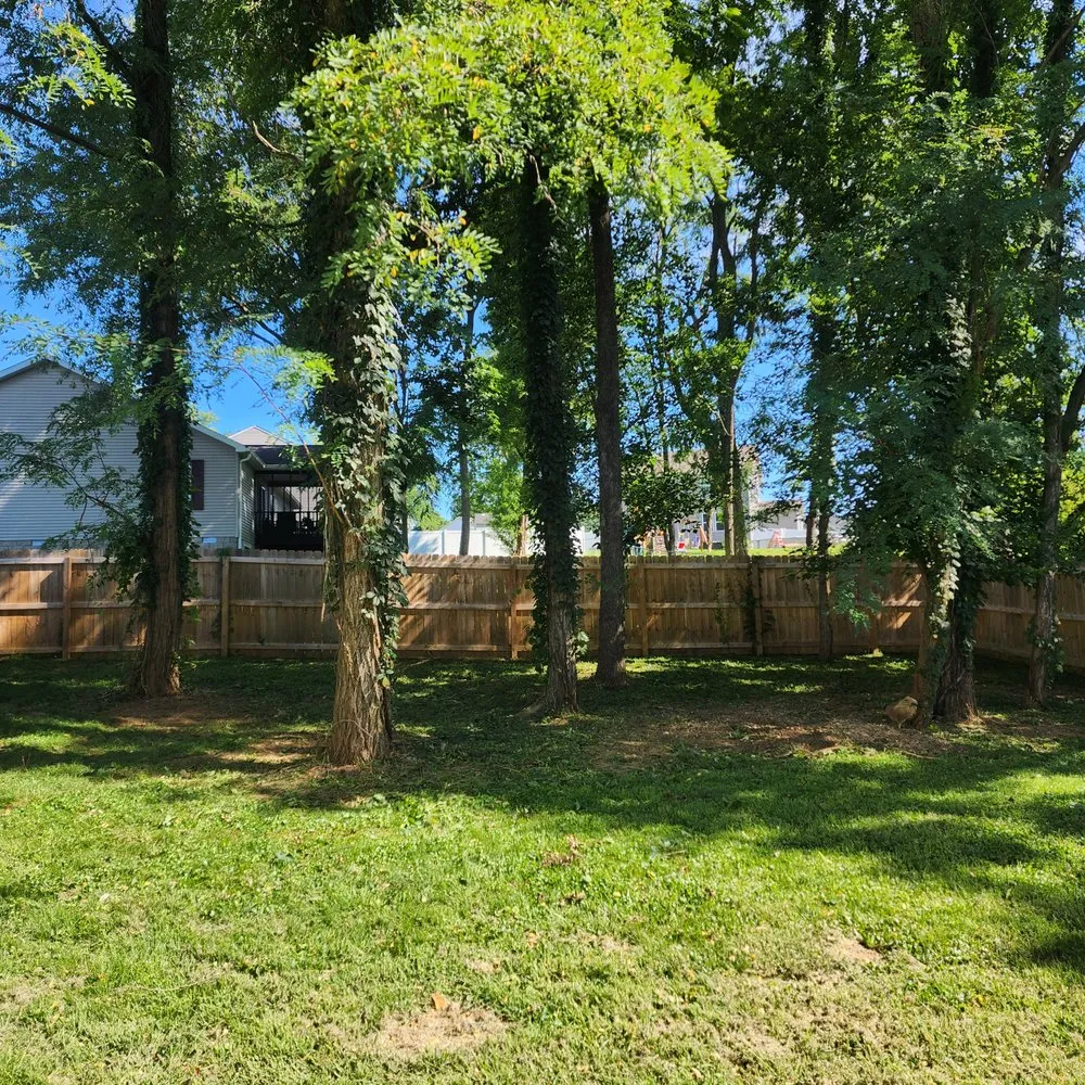 Expert landscaping services in Bloomington, IN - Pruett's Lawn and Land