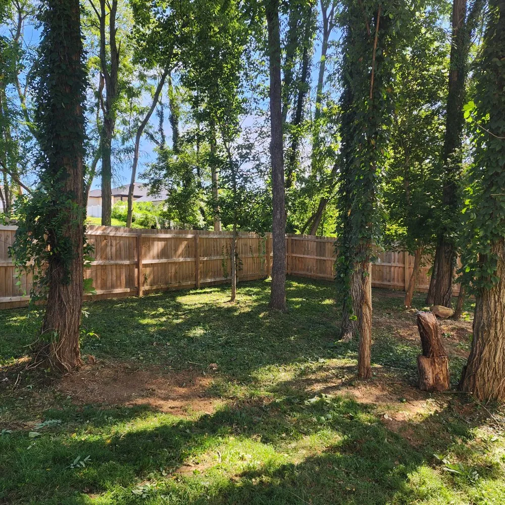 Top-rated yard maintenance experts serving Bloomington, IN - Pruett's Lawn and Land