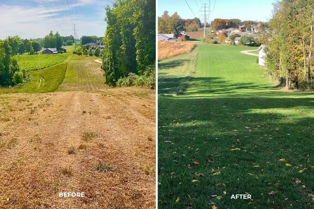 Professional outdoor landscaping experts serving Hogansville, GA - Pruitt Land Specialist