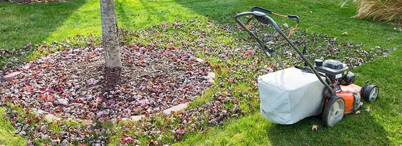 Expert residential landscaping in Chattanooga, TN - Pruitt's Affordable Lawn Care