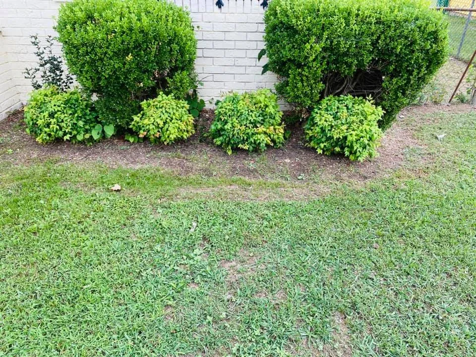 Local garden landscaping experts serving Chattanooga, TN - Pruitt's Affordable Lawn Care