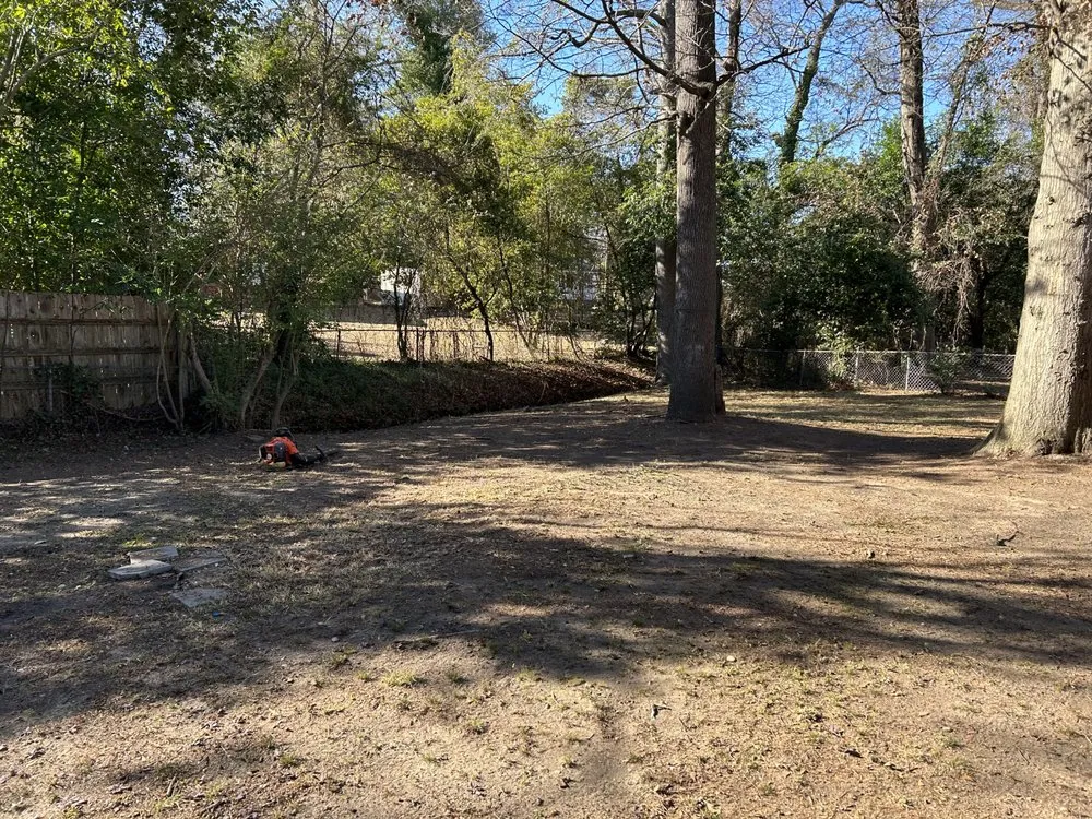 Affordable lawn care service experts serving Pine Mountain, GA - Pruitt’s Lawncare