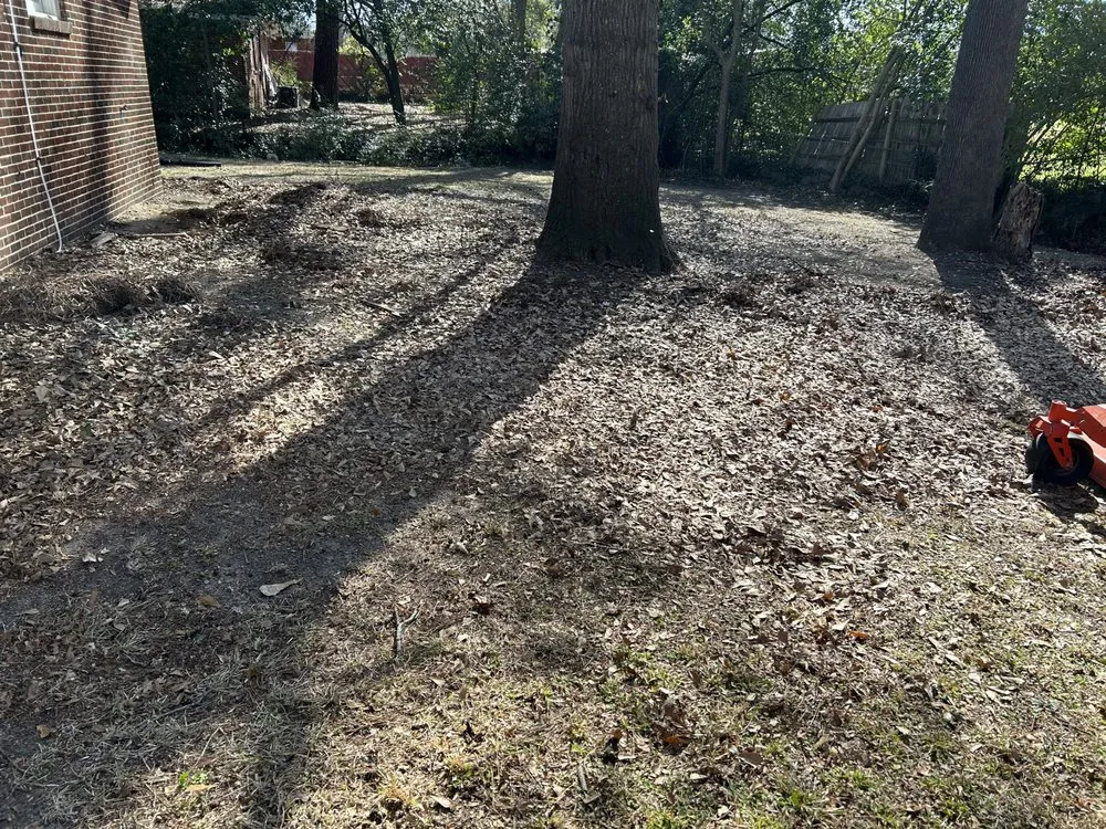 Professional yard cleanup service in Pine Mountain, GA by Pruitt’s Lawncare