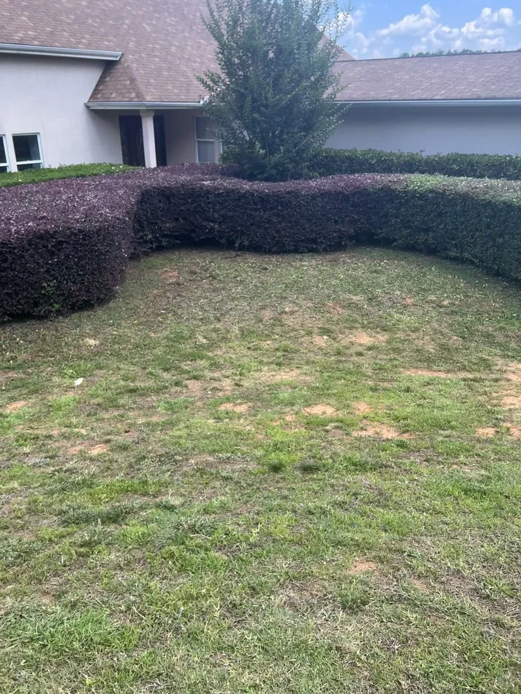 Professional outdoor landscaping for homes in Pine Mountain, GA by Pruitt’s Lawncare