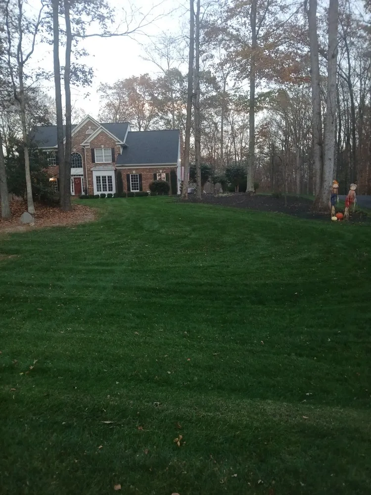 Trusted yard cleanup service with custom design in Spotsylvania Courthouse, VA by Prutty work lawn care and landscape services