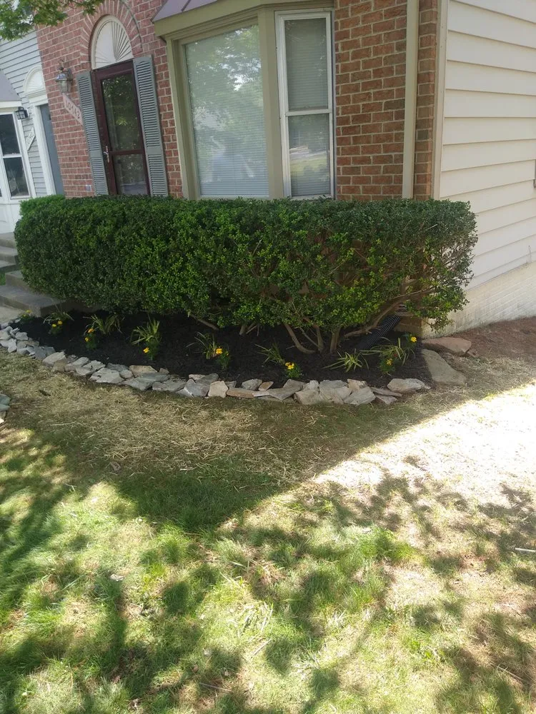 Professional yard cleanup service in Spotsylvania Courthouse, VA - Prutty work lawn care and landscape services