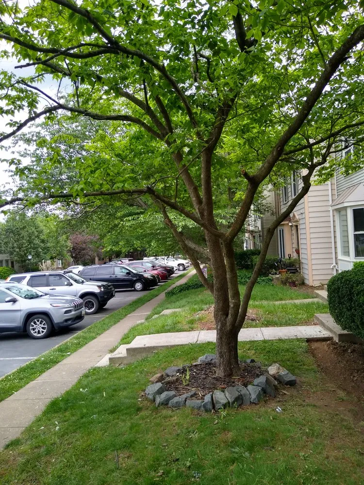 Top-rated garden landscaping with custom design across Spotsylvania Courthouse, VA - Prutty work lawn care and landscape services