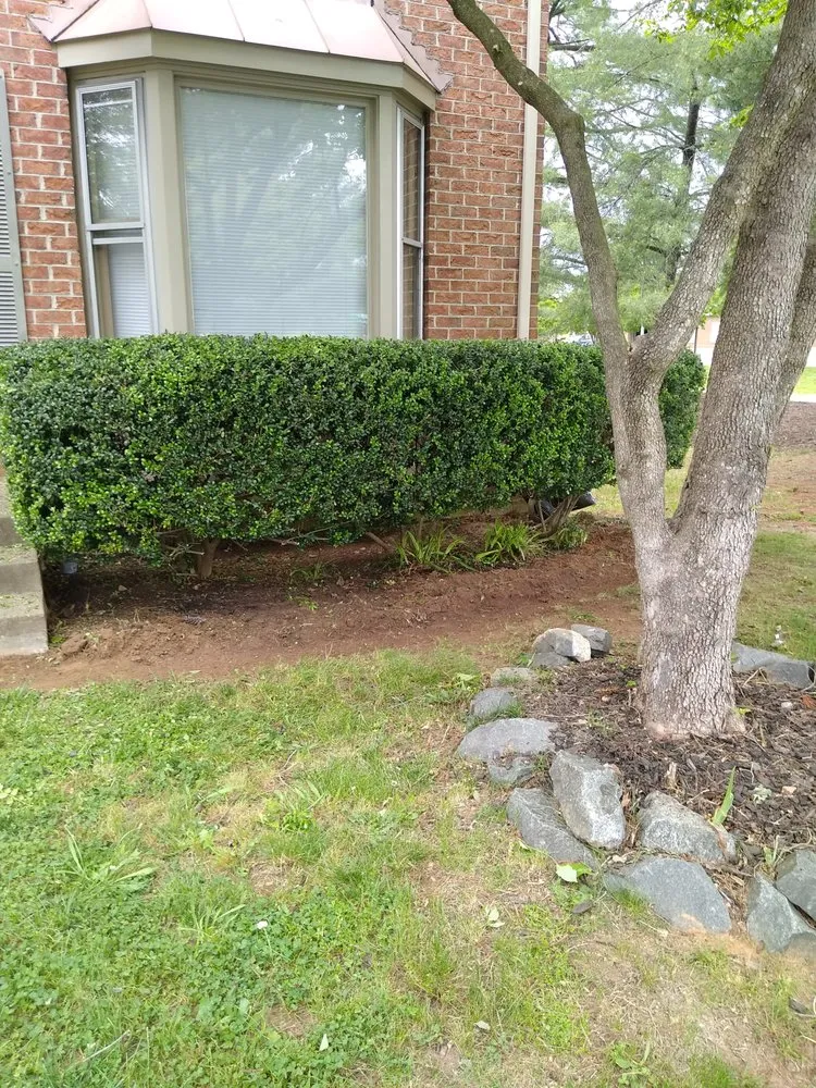 Expert yard maintenance with custom design across Spotsylvania Courthouse, VA - Prutty work lawn care and landscape services