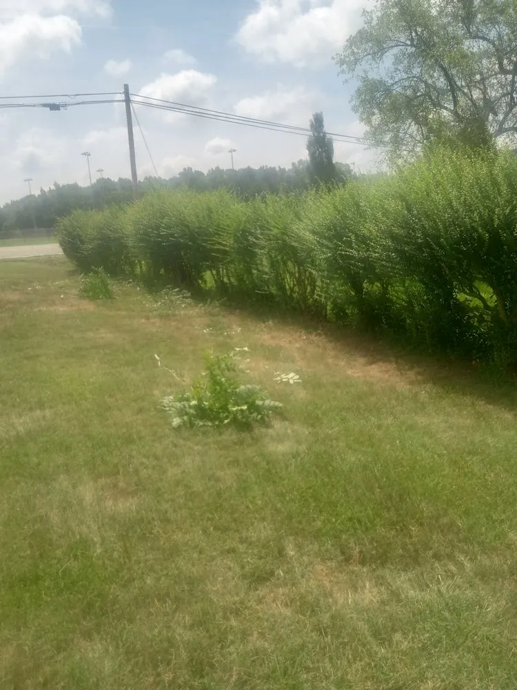 Trusted landscape design with custom design across Spotsylvania Courthouse, VA - Prutty work lawn care and landscape services