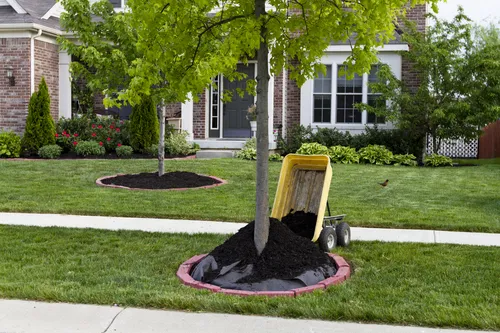 Expert yard maintenance in Riverside, IA - Prybil Lawn Care