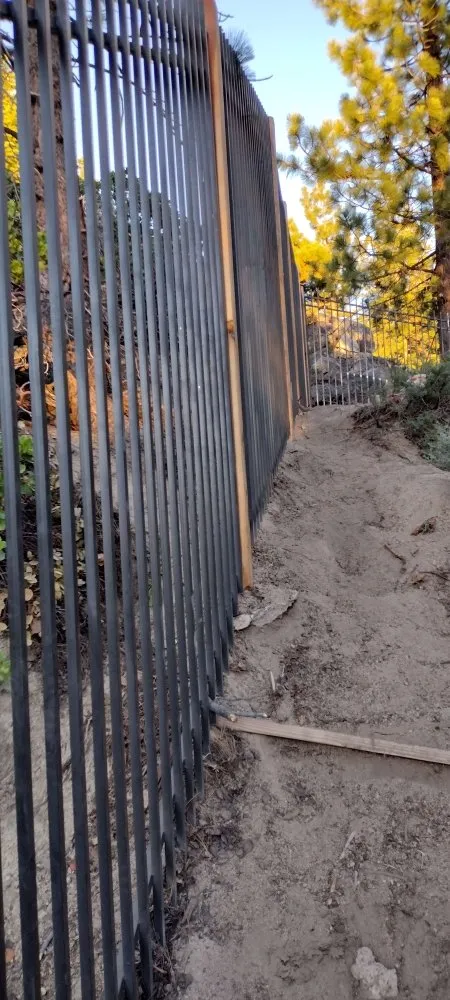 Professional yard maintenance in Carson City, NV - Pryde Tree & Landscape Services