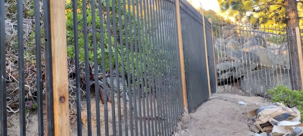 Affordable lawn care service in Carson City, NV by Pryde Tree & Landscape Services