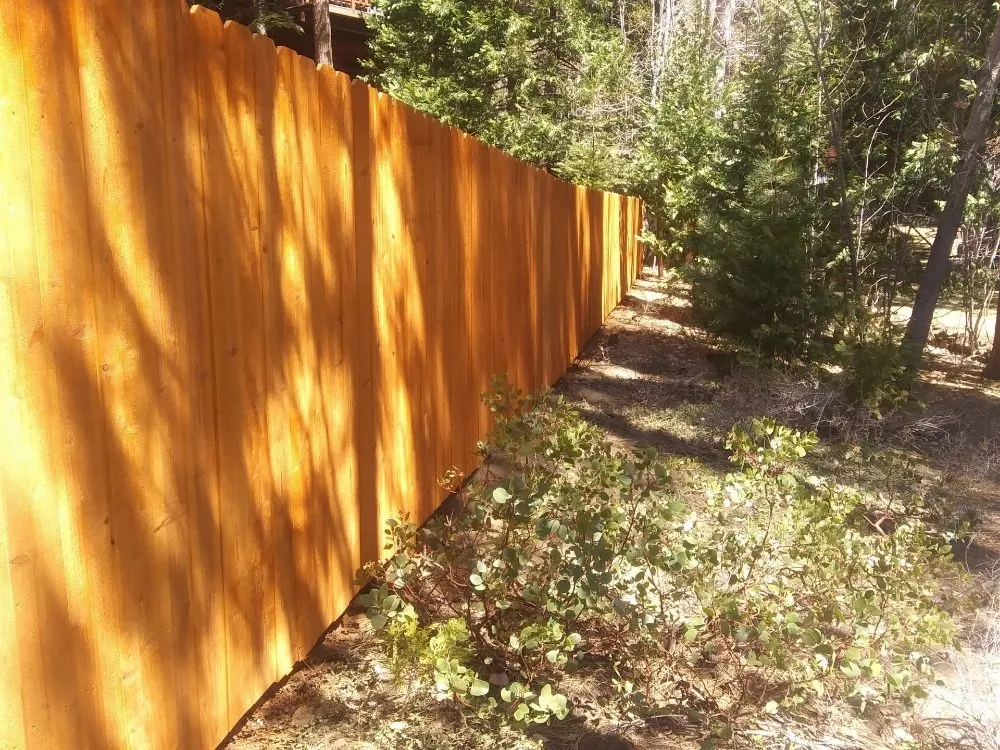 Reliable residential landscaping in Carson City, NV - Pryde Tree & Landscape Services