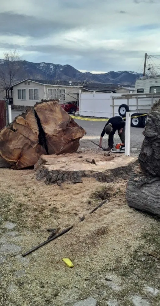 Custom lawn mowing service in Carson City, NV by Pryde Tree & Landscape Services