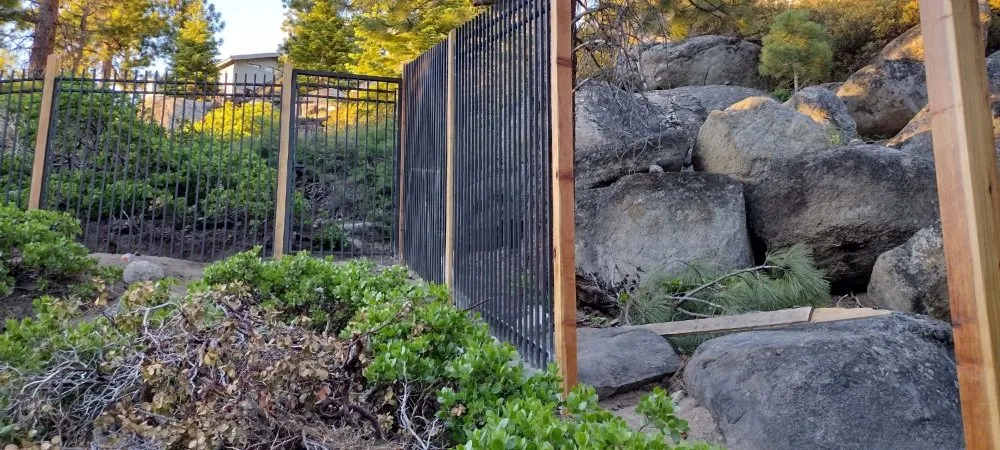 Professional landscaping services for outdoor upgrades in Carson City, NV by Pryde Tree & Landscape Services
